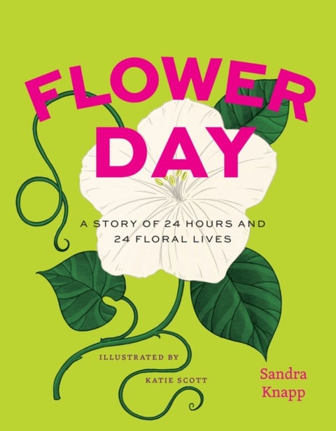 Flower Day - A Story of 24 Hours and 24 Floral Lives