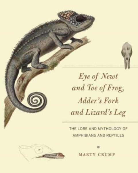 Eye of Newt and Toe of Frog, Adder's Fork and Lizard's Leg - The Lore and Mythology of Amphibians and Reptiles