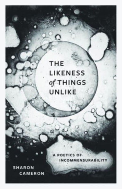 The Likeness of Things Unlike - A Poetics of Incommensurability