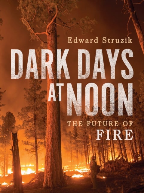 Dark Days at Noon - The Future of Fire