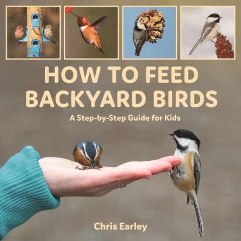 How to Feed Backyard Birds - A Step-By-Step Guide for Kids