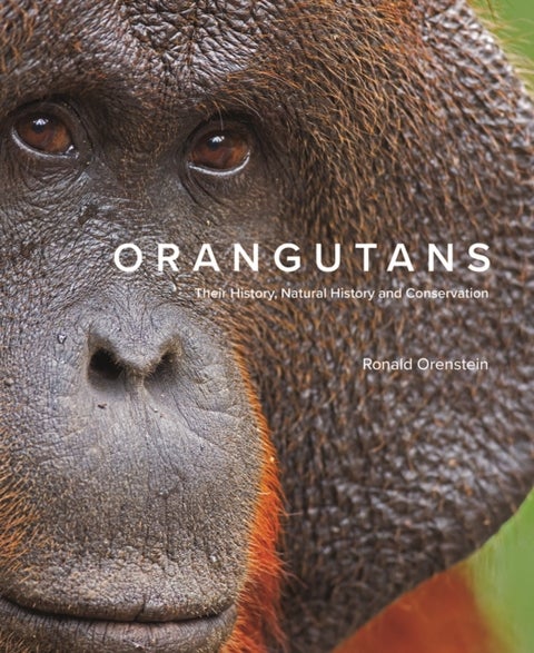 Orangutans - Their History, Natural History and Conservation