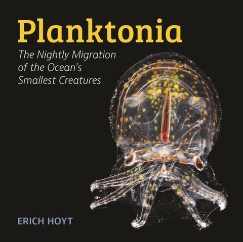 Planktonia - The Nightly Migration of the Ocean's Smallest Creatures
