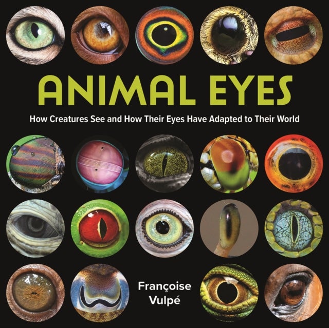 Animal Eyes - How Creatures See and How Their Eyes Have Adapted to Their World