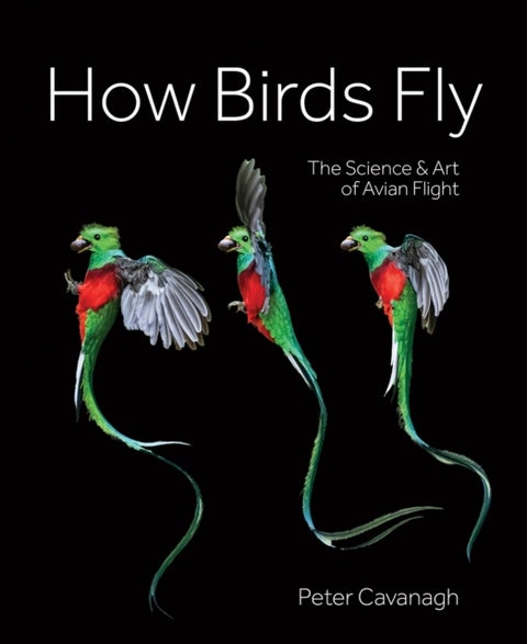 How Birds Fly - The Science and Art of Avian Flight