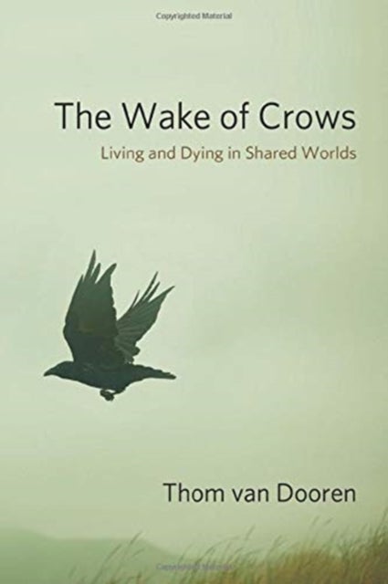 The Wake of Crows - Living and Dying in Shared Worlds