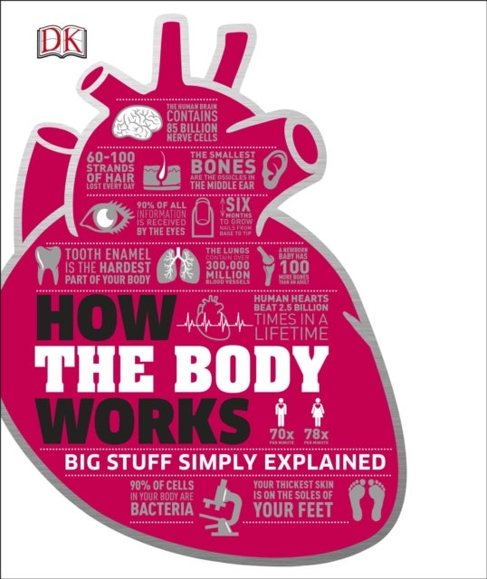 Bilde av How The Body Works Av Dk