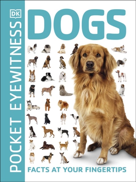 Pocket Eyewitness Dogs - Facts at Your Fingertips