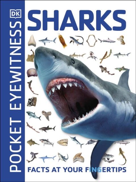 Pocket Eyewitness Sharks - Facts at Your Fingertips