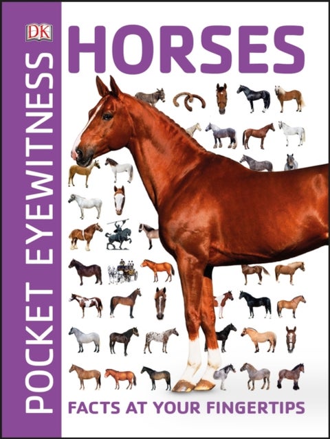 Pocket Eyewitness Horses - Facts at Your Fingertips