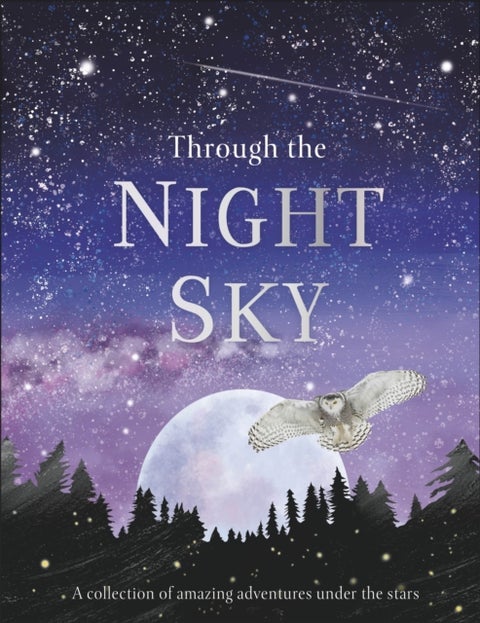 Through the Night Sky - A collection of amazing adventures under the stars