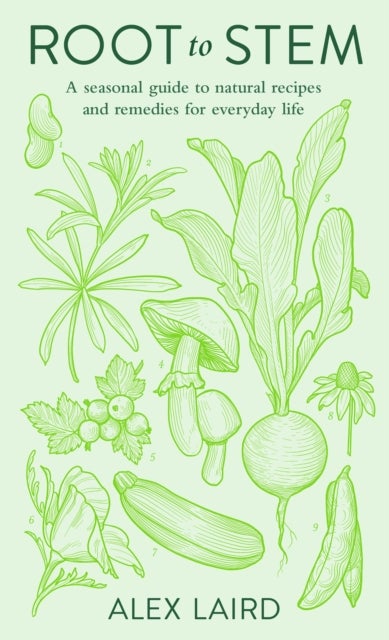 Root to Stem - A seasonal guide to natural recipes and remedies for everyday life