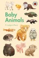 A Ladybird Book: Baby Animals