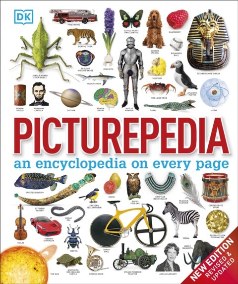 Picturepedia - an encyclopedia on every page
