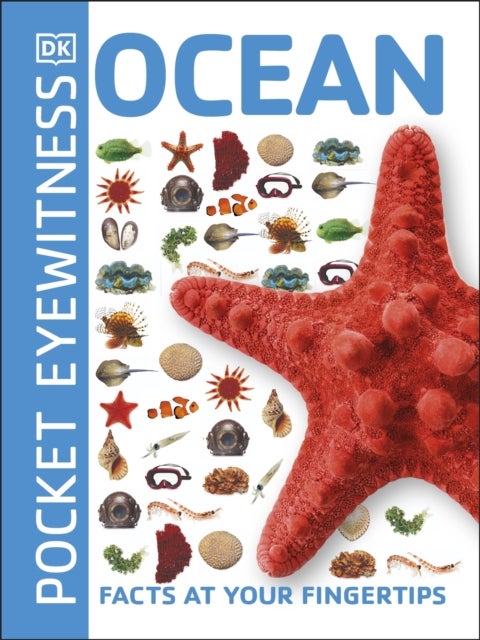 Ocean - Facts at Your Fingertips