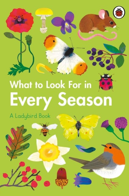 What to Look For in Every Season - A Ladybird Book Boxset
