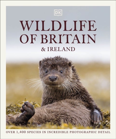 Wildlife of Britain and Ireland - Over 1,400 Species in Incredible Photographic Detail