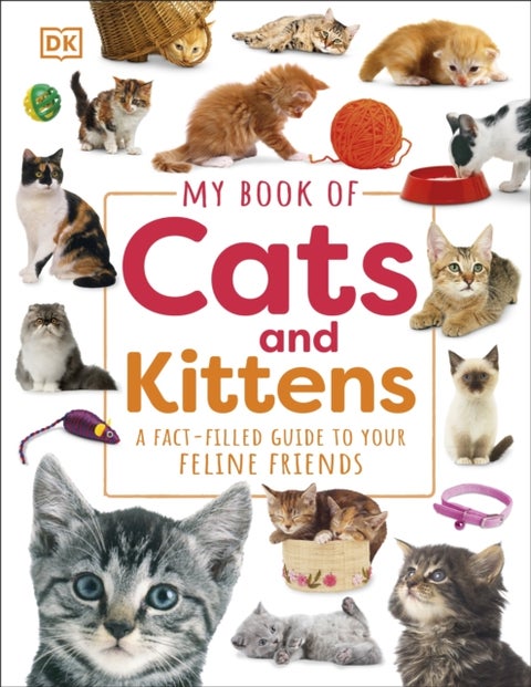 My Book of Cats and Kittens - A Fact-Filled Guide to Your Feline Friends
