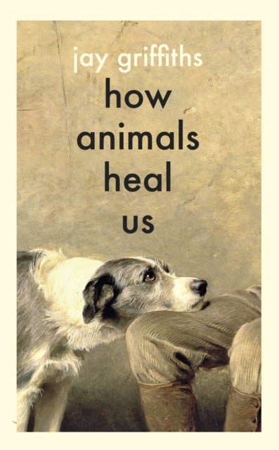 How Animals Heal Us