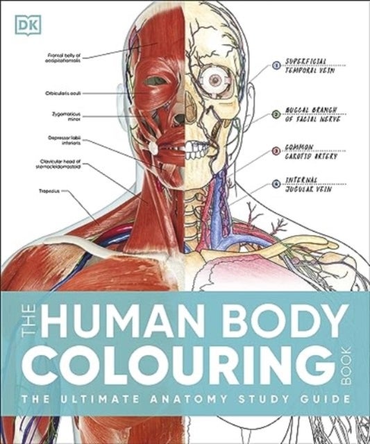 The Human Body Colouring Book - The Ultimate Anatomy Study Guide