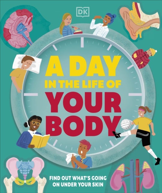 A Day in the Life of Your Body - Find Out What's Going on Under Your Skin