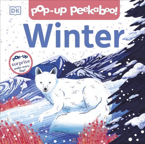Pop-up Peekaboo! Winter - Pop-Up Surprise Under Every Flap!
