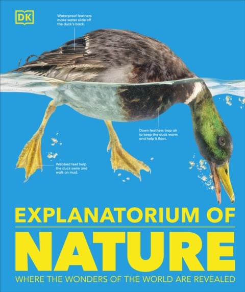 Explanatorium of Nature - Where the Wonders of the World are Revealed