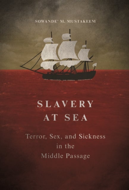 Slavery at Sea - Terror, Sex, and Sickness in the Middle Passage