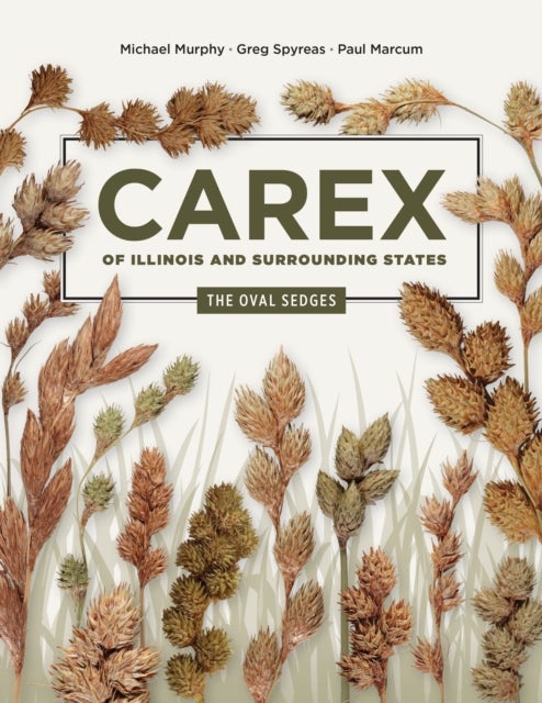Carex of Illinois and Surrounding States - The Oval Sedges