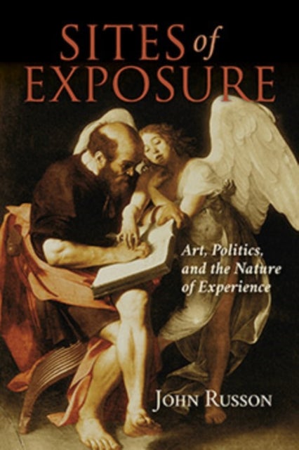 Sites of Exposure - Art, Politics, and the Nature of Experience