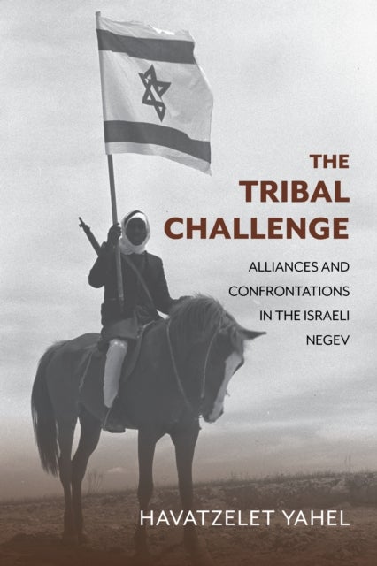 The Tribal Challenge - Alliances and Confrontations in the Israeli Negev