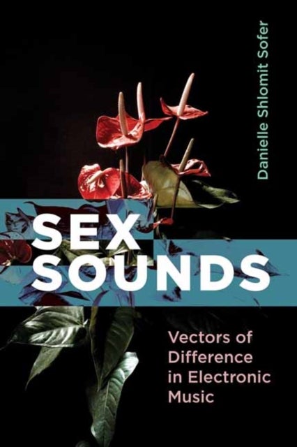 Sex Sounds - Vectors of Difference in Electronic Music