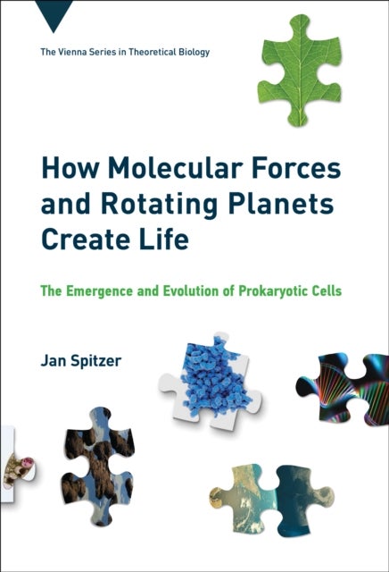 How Molecular Forces and Rotating Planets Create Life - The Emergence and Evolution of Prokaryotic Cells