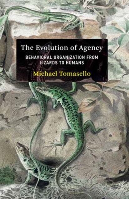The Evolution of Agency - Behavioral Organization from Lizards to Humans