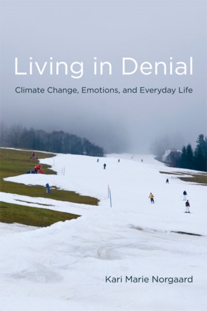 Living in Denial - Climate Change, Emotions, and Everyday Life