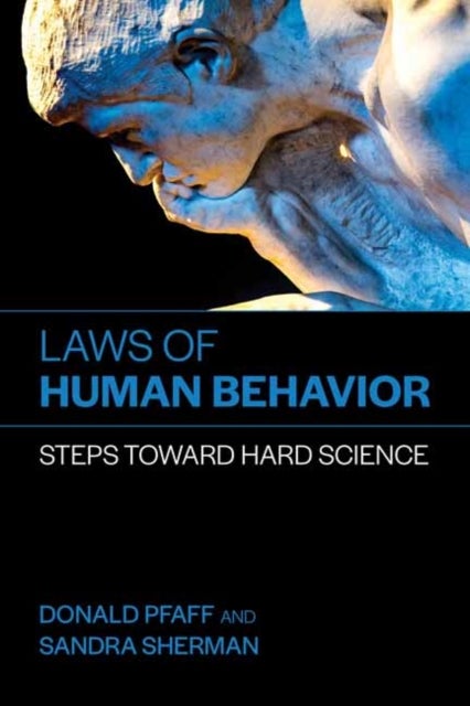 Laws of Human Behavior - Steps Toward Hard Science