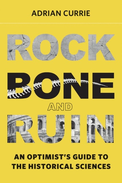 Rock, Bone, and Ruin - An Optimist's Guide to the Historical Sciences