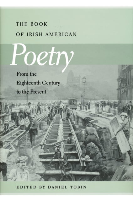 Bilde av Book Of Irish American Poetry