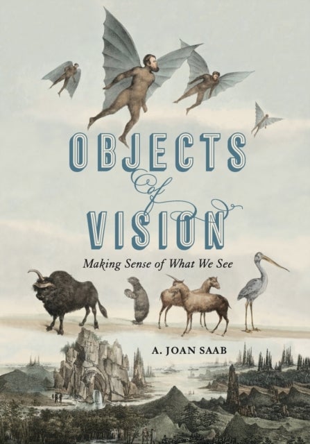 Bilde av Objects Of Vision Av A. Joan (susan B. Anthony Professor University Of Rochester) Saab