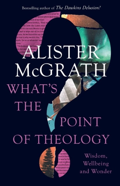 Bilde av What&#039;s The Point Of Theology? Av Alister Dphil Dd Mcgrath