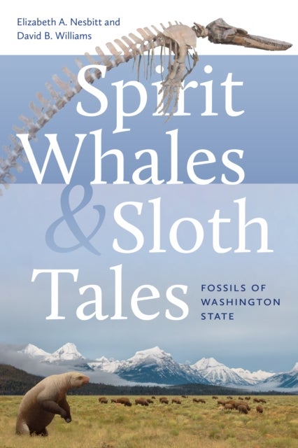 Spirit Whales and Sloth Tales - Fossils of Washington State