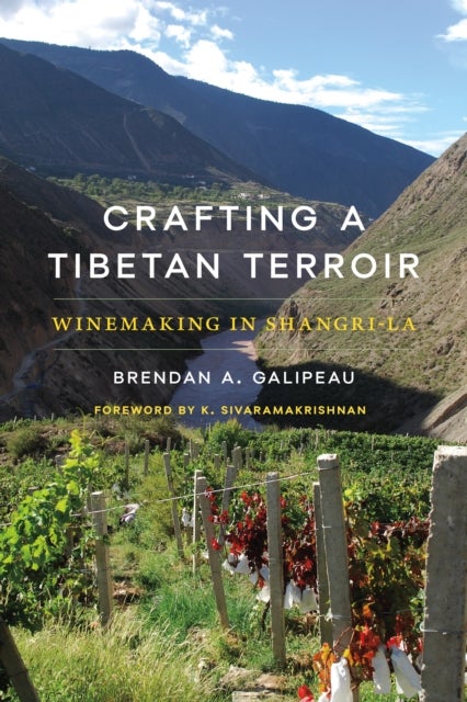 Crafting a Tibetan Terroir - Winemaking in Shangri-La
