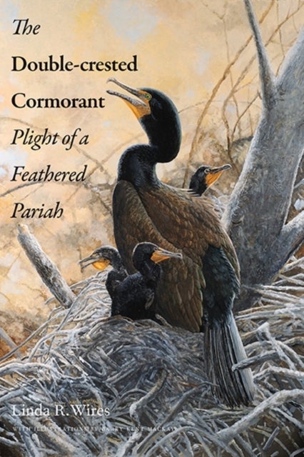 The Double-Crested Cormorant - Plight of a Feathered Pariah