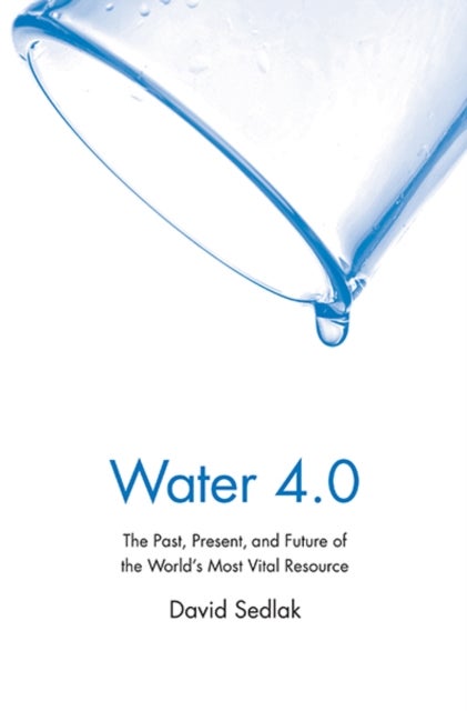 Water 4.0 - The Past, Present, and Future of the World's Most Vital Resource