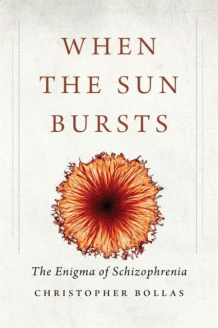 When the Sun Bursts - The Enigma of Schizophrenia