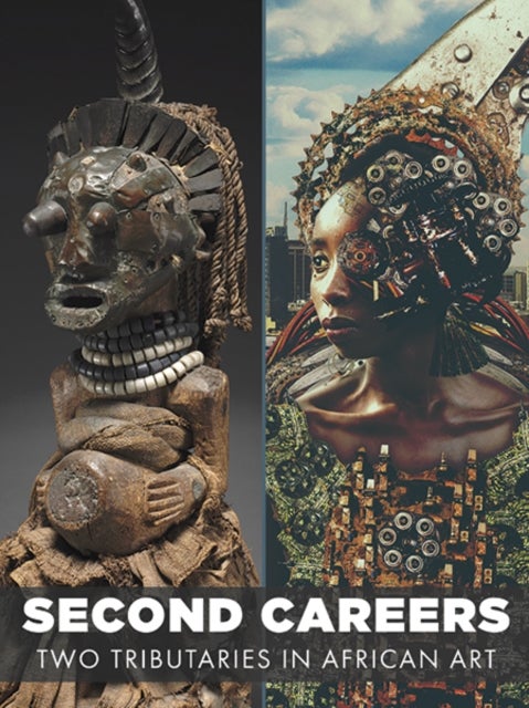 Second Careers av Ugochukwu-Smooth C. Nzewi