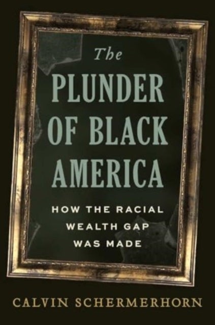 The Plunder of Black America - How the Racial Wealth Gap Was Made