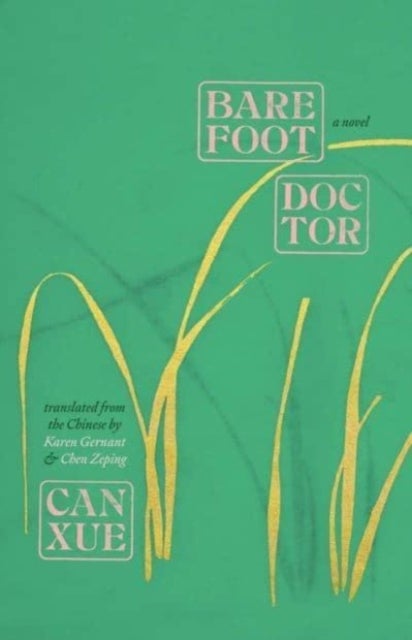 Barefoot Doctor - A Novel