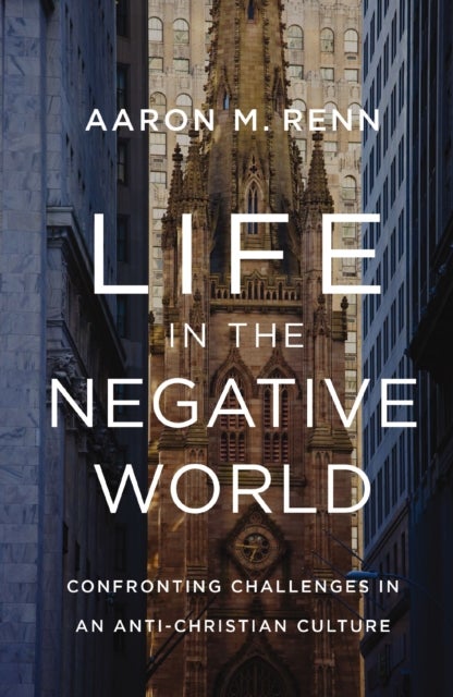 Life in the Negative World - Confronting Challenges in an Anti-Christian Culture
