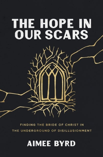 The Hope in Our Scars - Finding the Bride of Christ in the Underground of Disillusionment